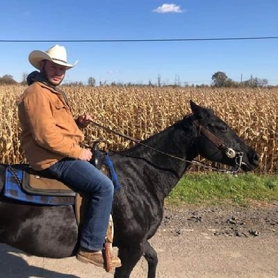 aarondewilde8's profile picture. 