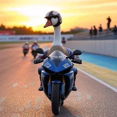 Honk honk, woof woof.
Bicyclist. Motorbicyclist. Comic genius. A mildly damaged sweeper-upper & servant to several dogs & geese. Honk 🪿🐕