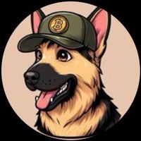 BIGBEAR (@onchainbullbear) 's Twitter Profile Photo BIGBEAR (@onchainbullbear) 's Twitter Profile Photo