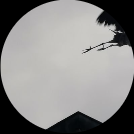 pauldupouy6 (@pauldupouy6) 's Twitter Profile