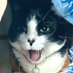 Nudul-San (@nudul) Twitter profile photo Nudul-San (@nudul) Twitter profile photo
