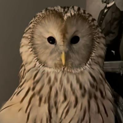 hiemaisolde's profile picture. 