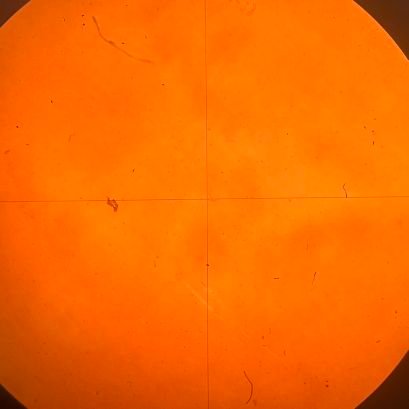 tokyotech23Bma's profile picture. 23B