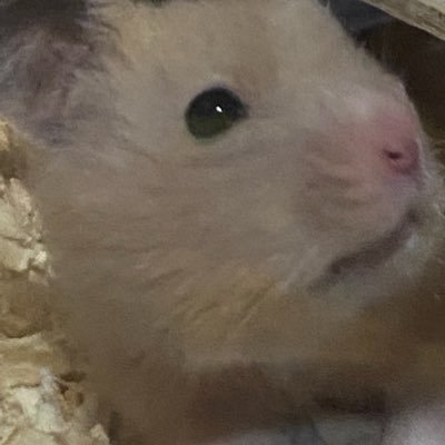 ow48262's profile picture. 19s