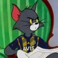 Fener'li Tom (@fenerbahcelitom) 's Twitter Profile Photo