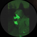 Bah2uaii91 (@bah2uaii91) Twitter profile photo Bah2uaii91 (@bah2uaii91) Twitter profile photo