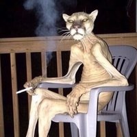 Puma Pumez (@_boteman) 's Twitter Profile