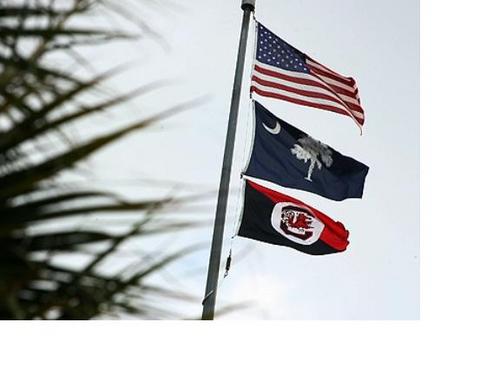 DC_Race_Fan's profile picture. 