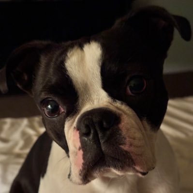 becki_hendricks's profile picture. I love my family, my dog, my country, and like 2 people. My first language is sarcasm. Proud MAGA & MAHA supporter! 🚫DM🚫