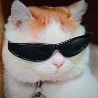 Samlockedtfin (@maybachzy) 's Twitter Profile