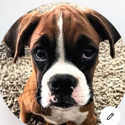 Lachicadelboxer's profile picture. Escribiendo... Instagram: @lachicadelboxer