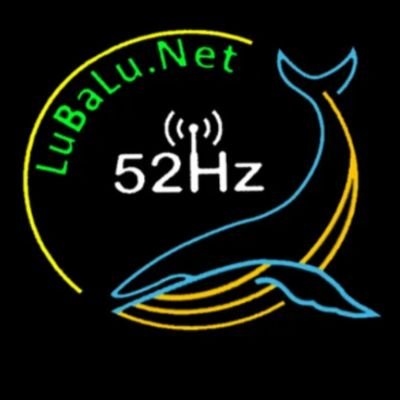 LuBaLu_Net's profile picture. This is a 52Hz transmission.