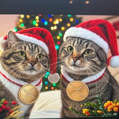 XRPBROS's profile picture. 