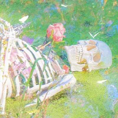 파란해골 16호🕯さんのプロフィール画像