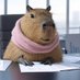 ゆるコン (@yuruiconsultant) Twitter profile photo ゆるコン (@yuruiconsultant) Twitter profile photo