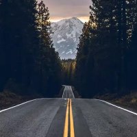 Zeyn Brahmana (@zeynbrahmana) 's Twitter Profile
