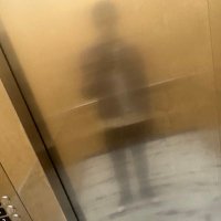 Forest (@dvpestpimp) 's Twitter Profile Photo
