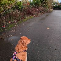Mara (@bobmcbobaton) 's Twitter Profile