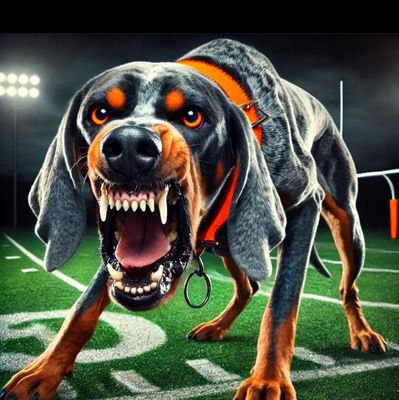 CmcD888's profile picture. Vol above all.  I love my family and friends fiercely.  I love all animals.  Cat guy.  GBO. 🎃