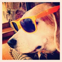 James W (@jamesw1115391) 's Twitter Profile