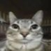 Kitty (@kitc0177545978) Twitter profile photo Kitty (@kitc0177545978) Twitter profile photo