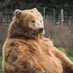 Bear King🇨🇷 (@misterbear666) Twitter profile photo Bear King🇨🇷 (@misterbear666) Twitter profile photo