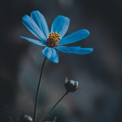 byzidmia879's profile picture. Work fine