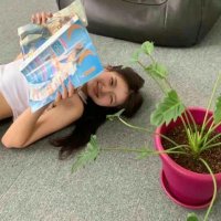 Rose Gilmartin (@gbeovg9piv8t6) 's Twitter Profile