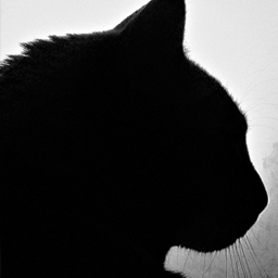 tetra5_org's profile picture. drown in drone