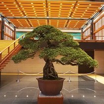 古来からの日本独自の精神文化 世界観 道徳 倫理 哲学 価値観が世界の希望。国民が現実に覚醒し、移民 不法滞在者 在日 帰化人追放しないと日本滅亡。先ず国産核必須。