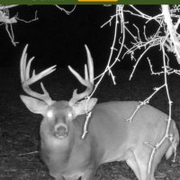 Chris (@bigbuckkilla66) 's Twitter Profile