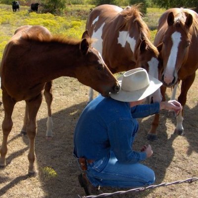 Rancher.
Retired A&P mechanic.
ASA 7th RRFS.
Grandpa.
I fix broken things.
Be kind, Unwind