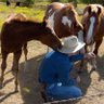 JimBeas62488214's profile picture. Rancher. 
Retired A&P mechanic.
ASA 7th RRFS. 
Grandpa. 
I fix broken things.
Be kind, Unwind