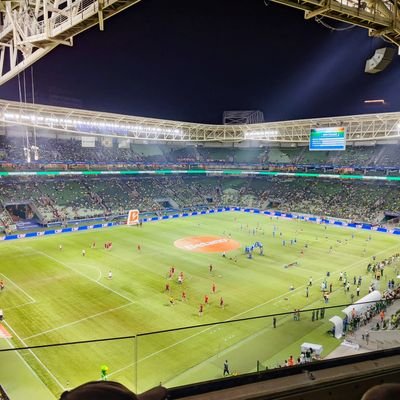 PalestraSEP__'s profile picture. SEP 💚🐷