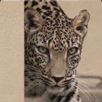 maaa1 (@massaj00010) Twitter profile photo