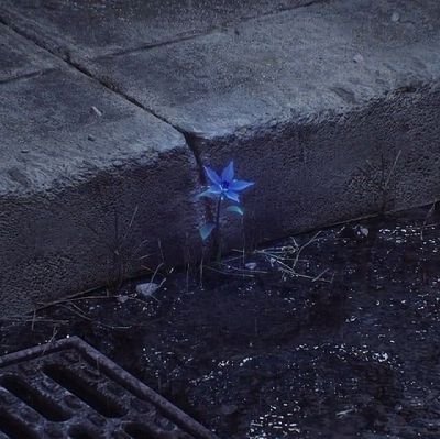 Jonas_idkfr's profile picture. 