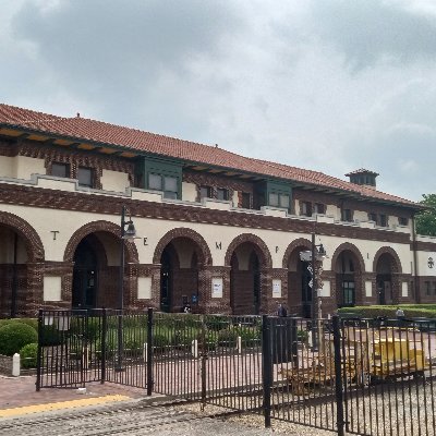 gingerwitbigD's profile picture. Ginger with big D