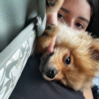 Roxys (@roxysherreraa) 's Twitter Profile