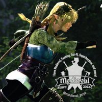 めでぃーばる (@medieval_poyo) Twitter profile photo