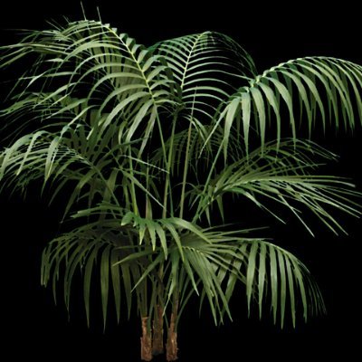 3foothole's profile picture. 