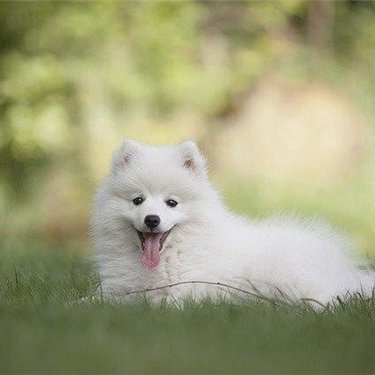 Chizuru2034815's profile picture. 副業で安定した収入を得る方法を共有中。副業を始めたい人に役立つ情報を提供。多少ですが現金給付企画も実施しております♪ 詳しくはコチラ➡ https://t.co/NE63mAlJzS