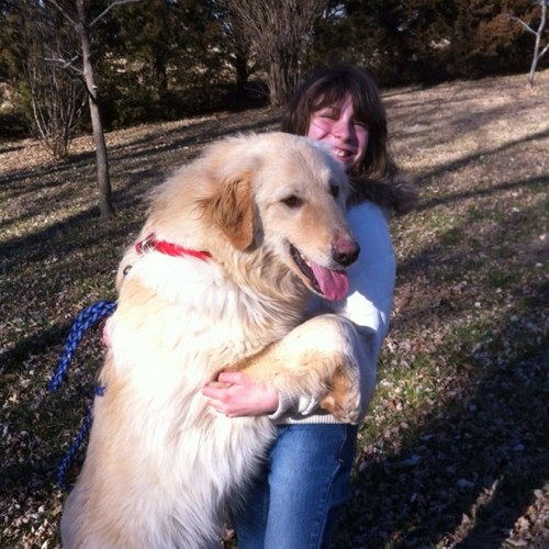 SunnySide_Acres's profile picture. 