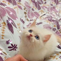 Nildamla Nildamla (@nnildamla) Twitter profile photo