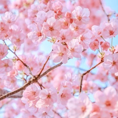 zd30813's profile picture. 