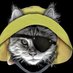 Newfie Cat🐈🌱 (@newfie_cat) Twitter profile photo Newfie Cat🐈🌱 (@newfie_cat) Twitter profile photo
