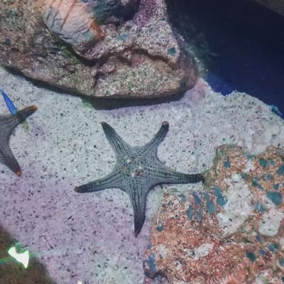 babygiftbabyme's profile picture. ✨❄🍁🍦
ติ่งในแบบที่ตัวเองสบายใจ I 🤫