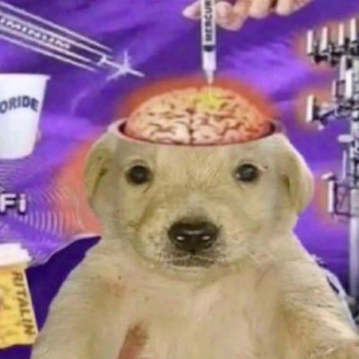 spiralgia's profile picture. he/they 19