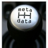 Meta Maven (@maven_meta__) 's Twitter Profile