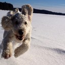 Daniel Kapuscinski - @Cornerblend - Twitter