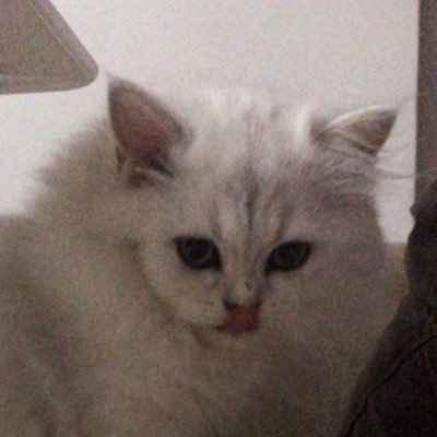 yasemn_dmn's profile picture. It’s okay.